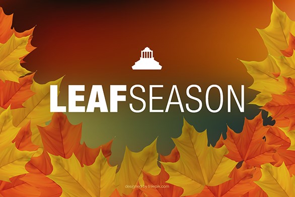 Consider paper bags or reusable containers for leaf season this