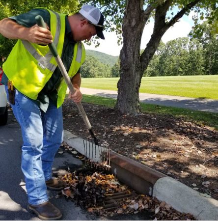 clearing leaves from storm drain