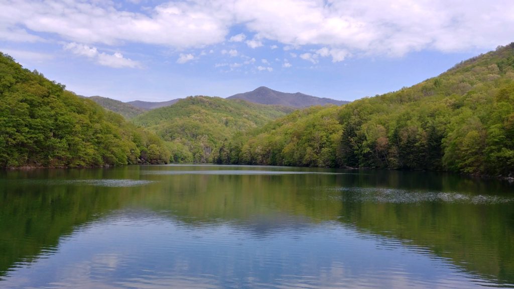 Water - The City Of Asheville