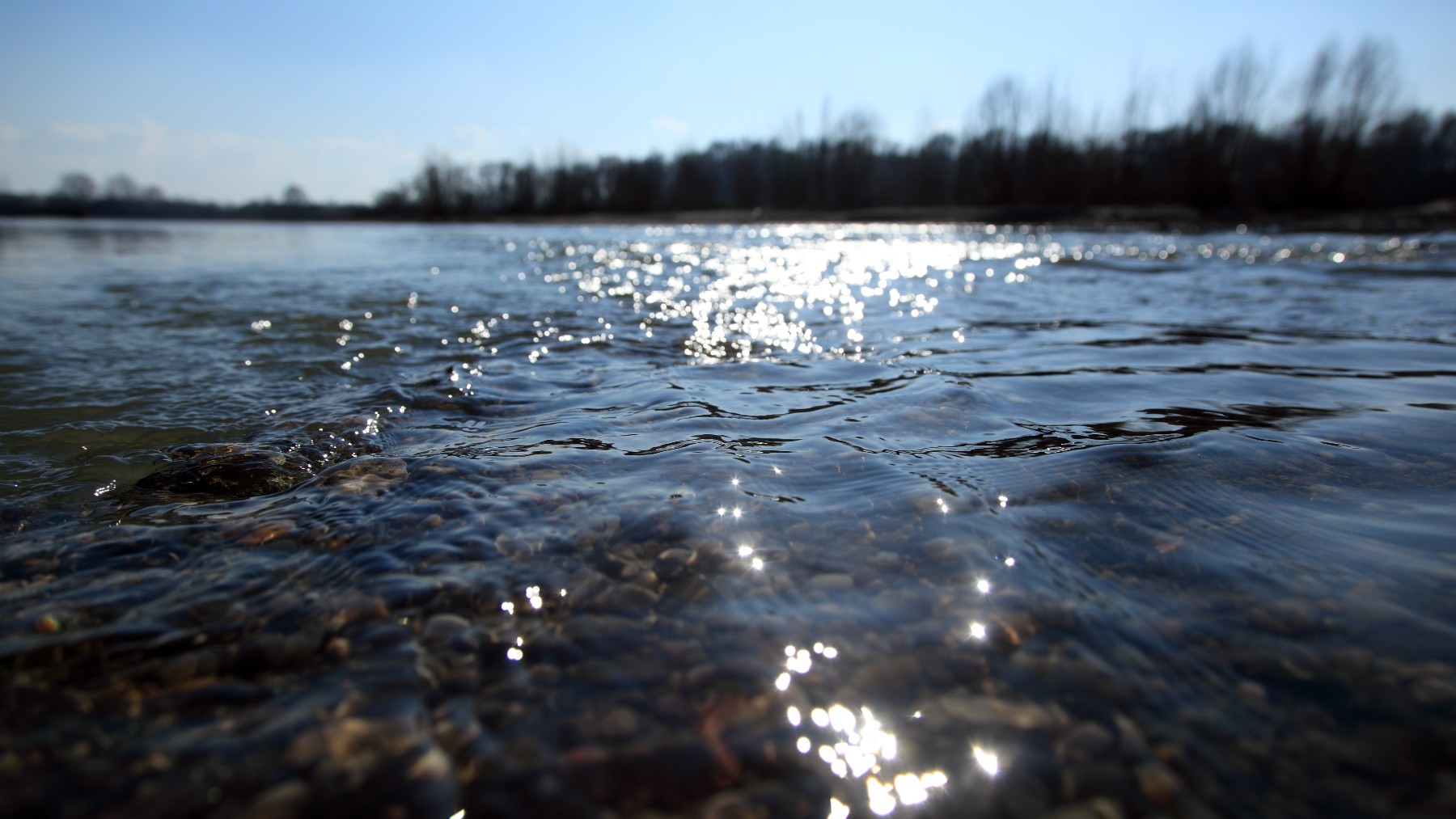 Фед водный. Речная сырая вода.