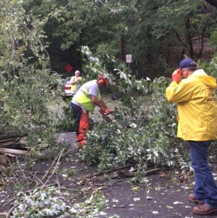 Public Works - The City Of Asheville