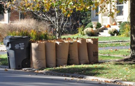 Consider paper bags or reusable containers for leaf season this