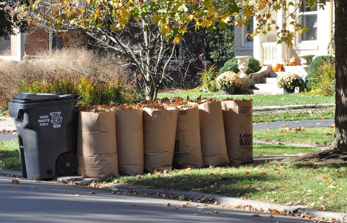 Buy Brown Paper Lawn Leaf Bags 30 Gallon 10 pack String to Close the bag  Yard Waste bags for Garden Compost debris leaves grass clippings Refuse   T Environment friendly Biodegradable 