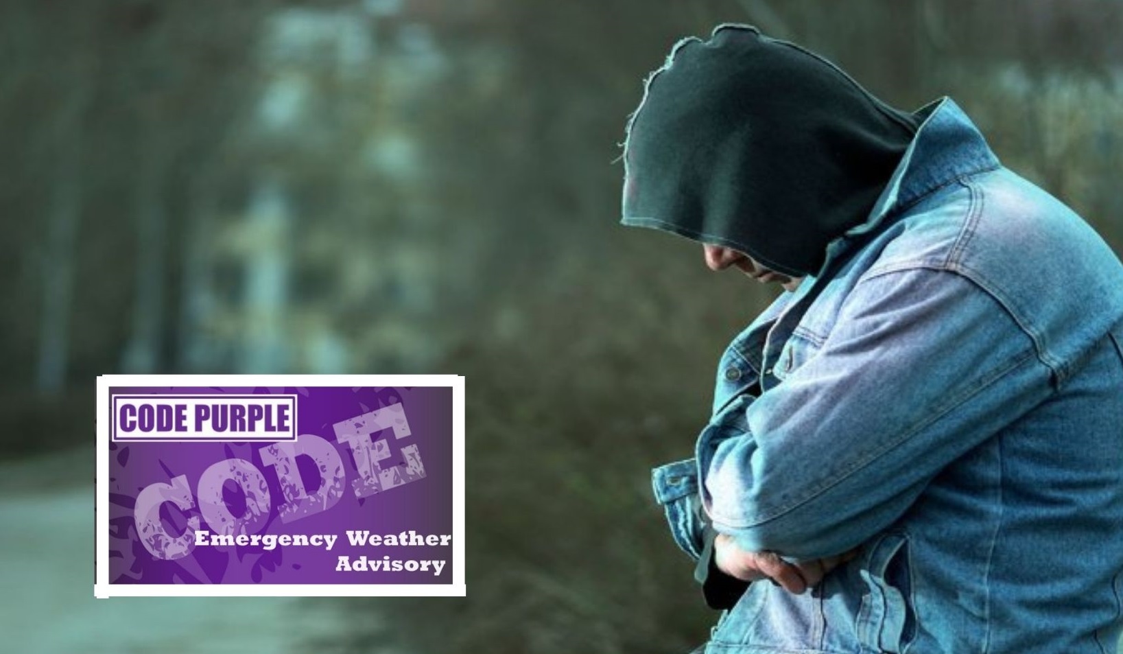 Purple bag program' for homeless seeks to address litter : r/asheville