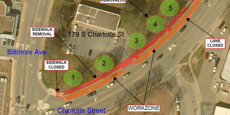 graphioc map depictiung tree and sidewalk works