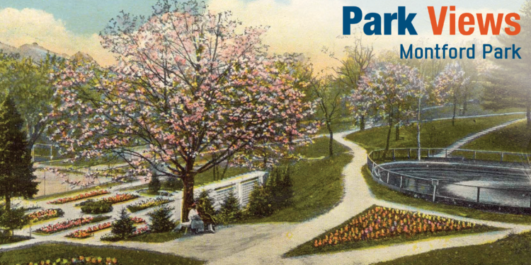 artistic drawing of Montford park showing trees in bloom and flower beds