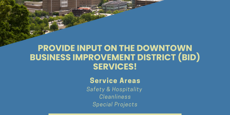 BID survey information with image of downtown