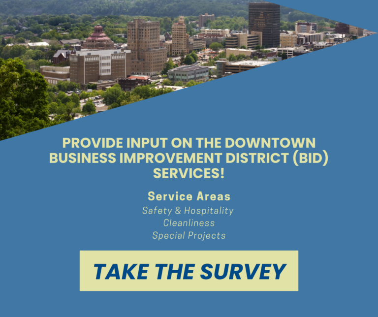 BID survey information with image of downtown