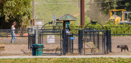 dog park at French Broad Park