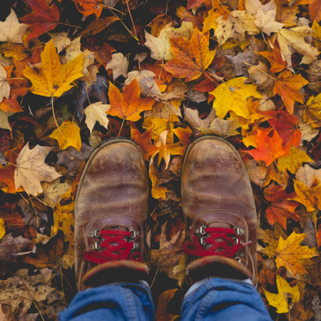 hiking boots standing on leaves