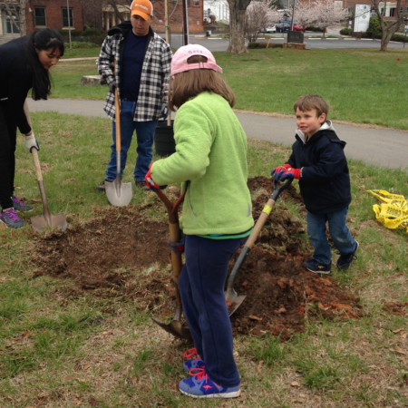 planting trees