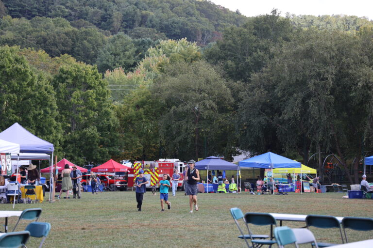 picture of people and tents at the 2023 festival of neighborhoods