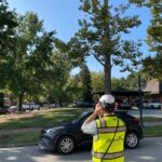 Arborist assesses a roadside tree