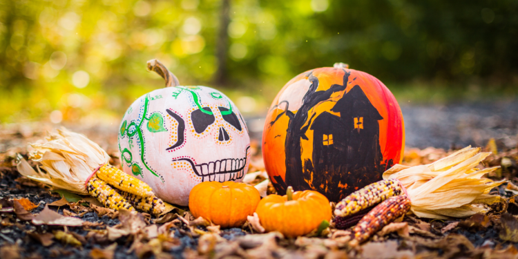 spooky pumpkins in leaves